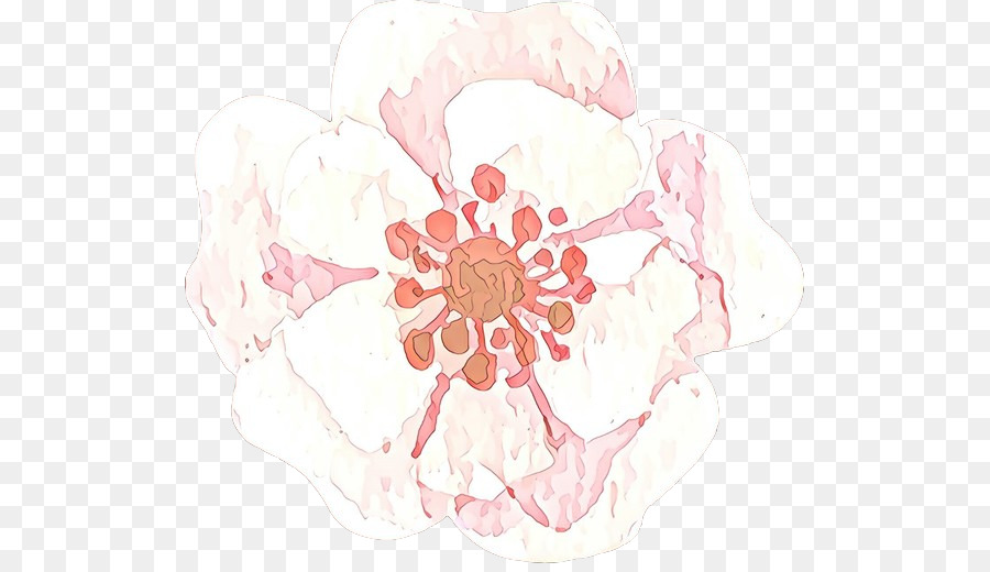 Rose，Fleur PNG