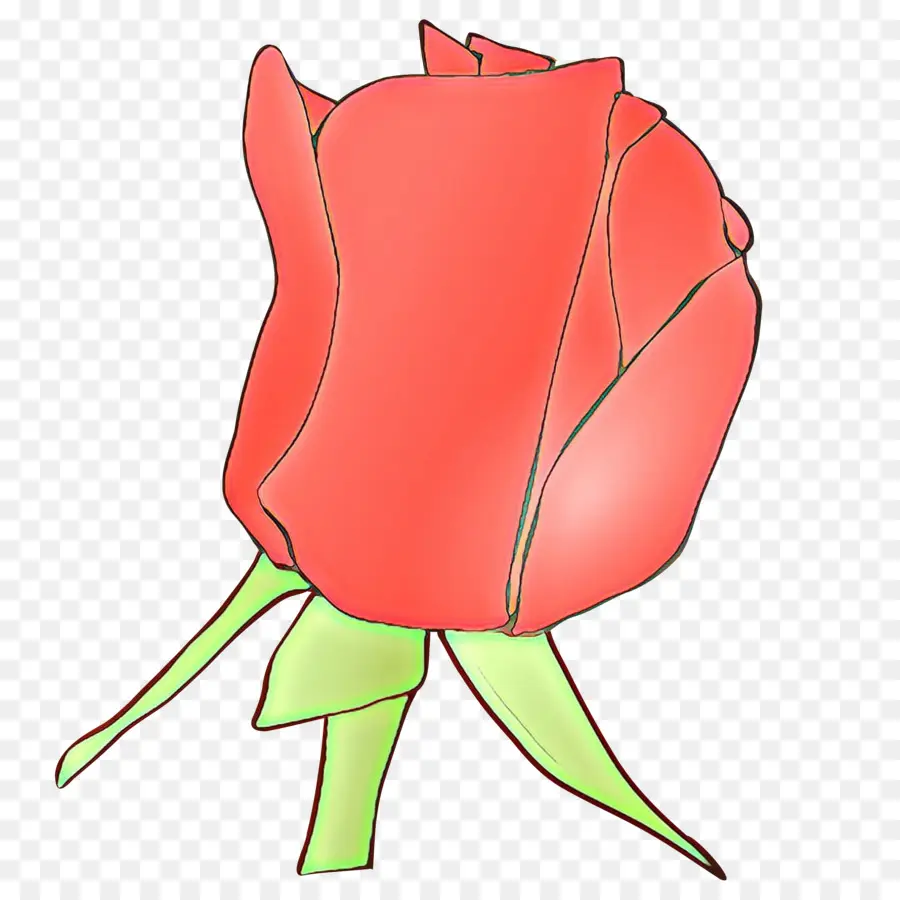 Rose Rouge，Amour PNG