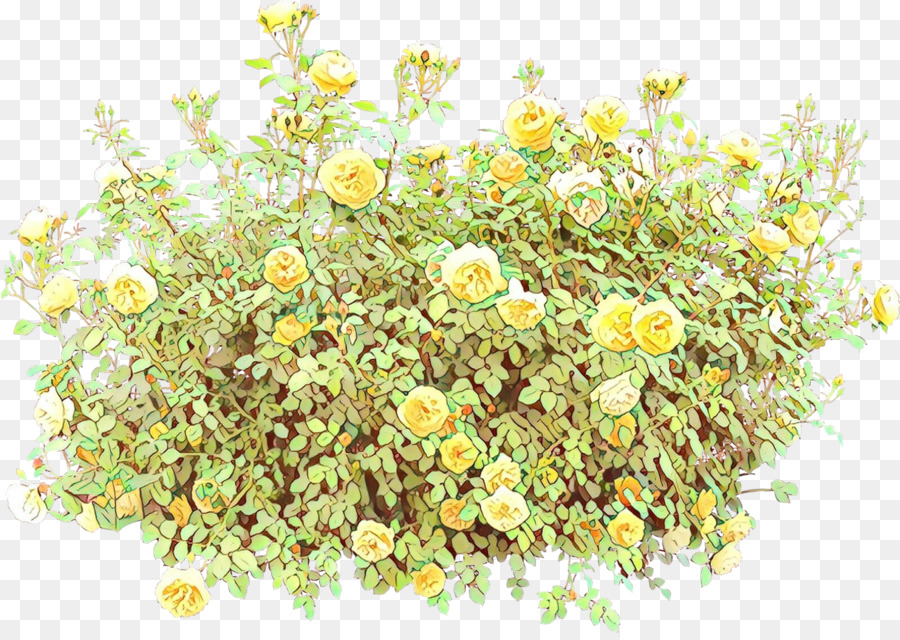 Roses Jaunes，Fleurs PNG