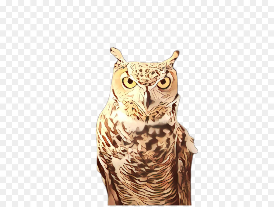 Hibou，Yeux PNG