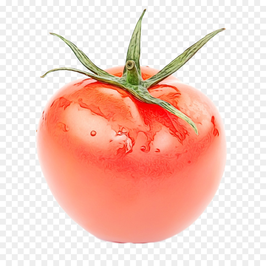 Tomate，Légume PNG