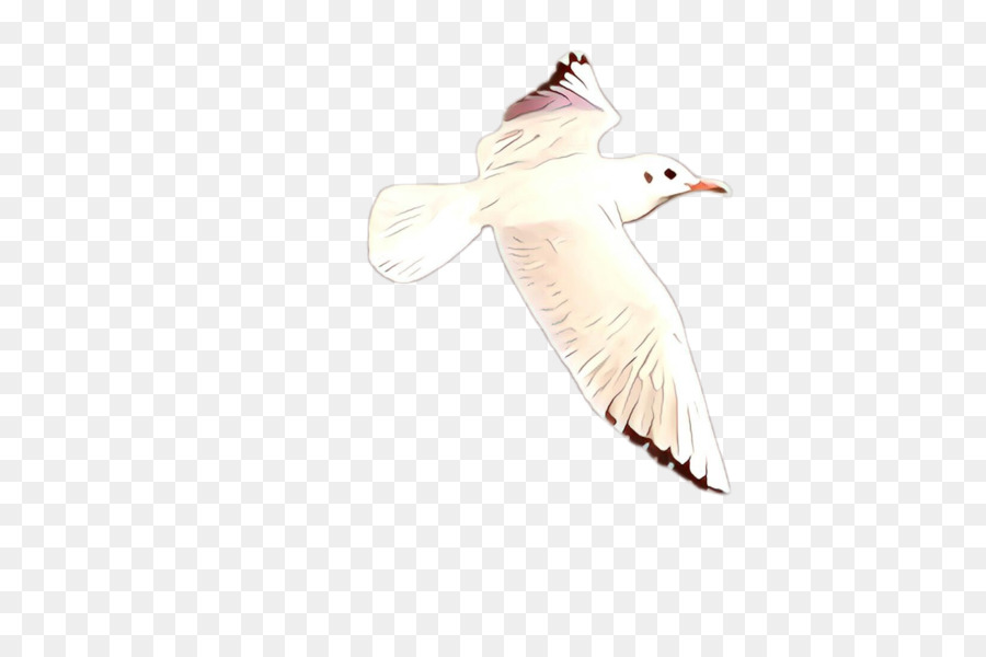 Oiseau Volant，Ailes PNG