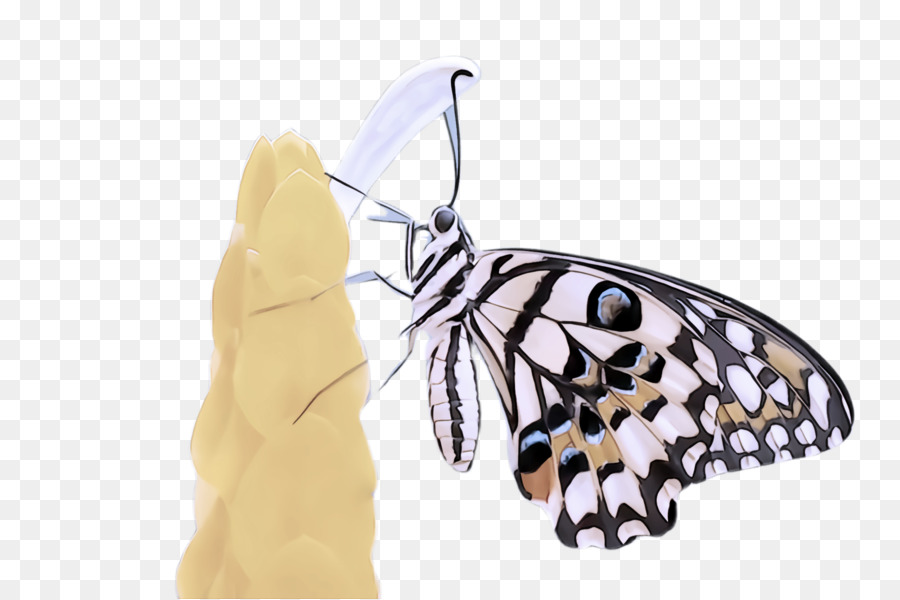 Papillon，Les Citrons PNG