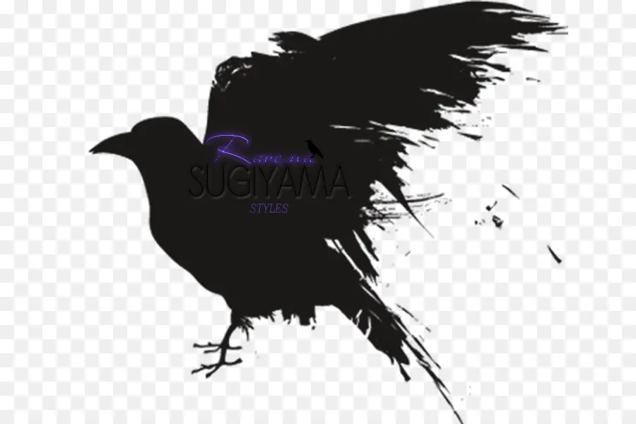Oiseau，Raven PNG