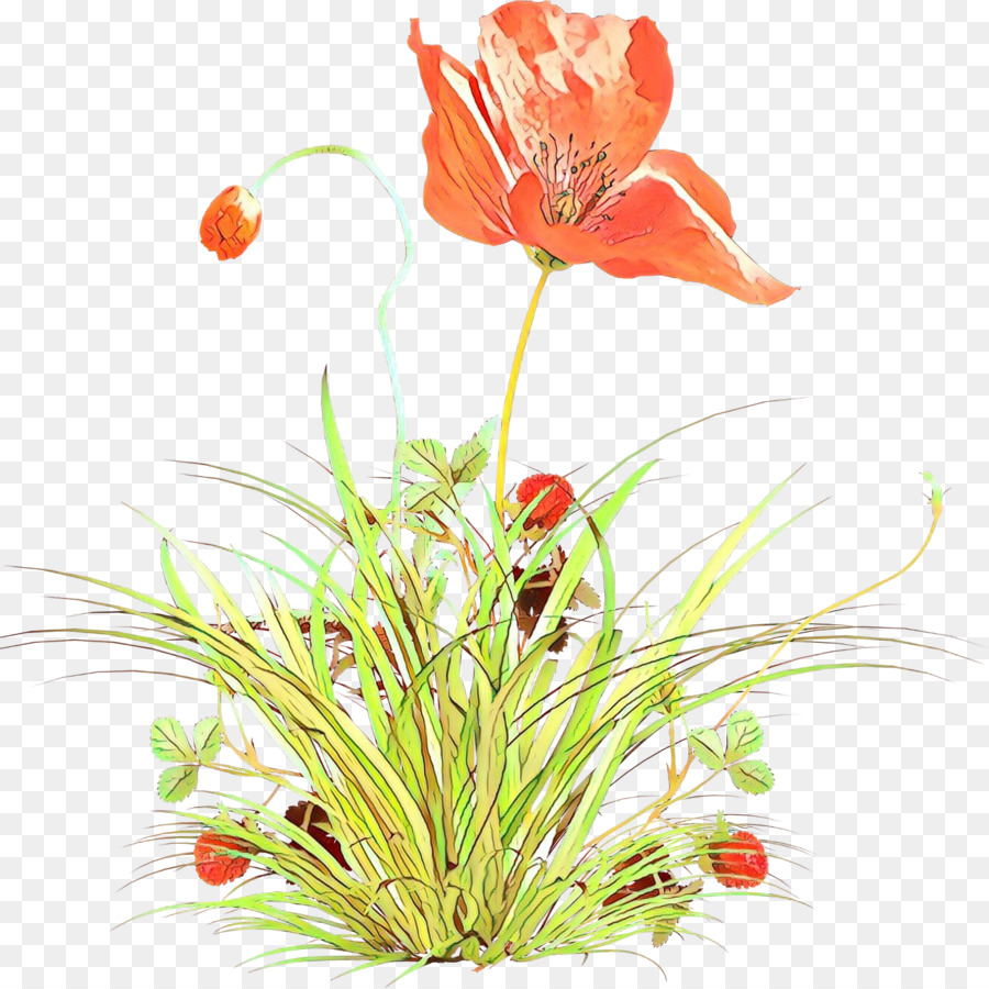 Fleur，Plante PNG