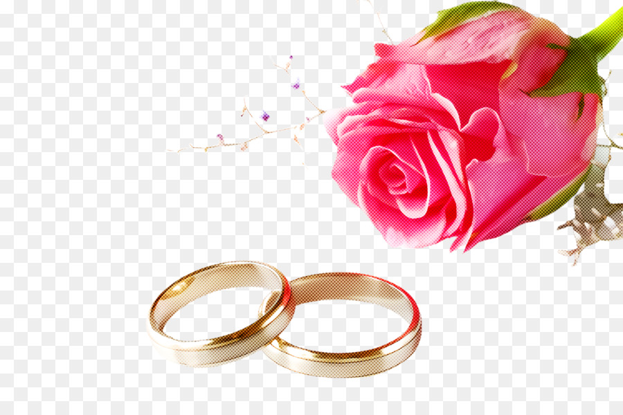 Alliances Et Rose，Mariage PNG