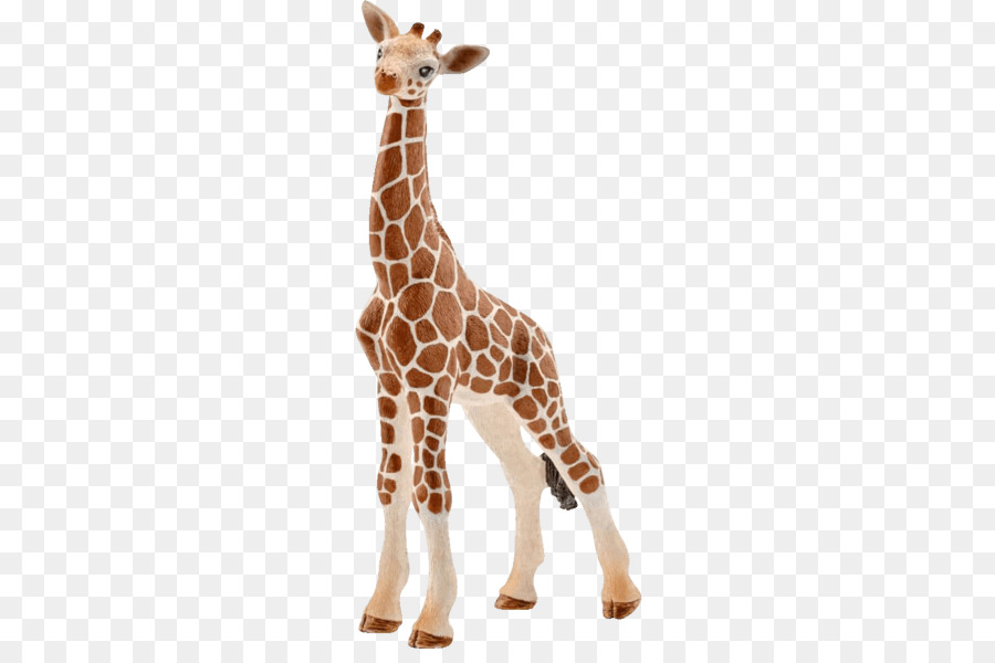 Girafe，Grand PNG