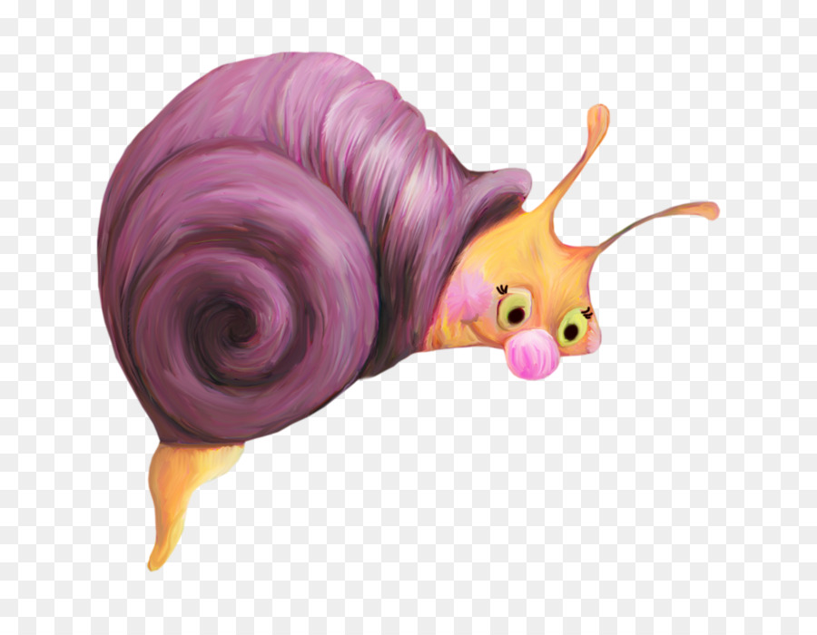 Escargot De Mer，Escargot PNG