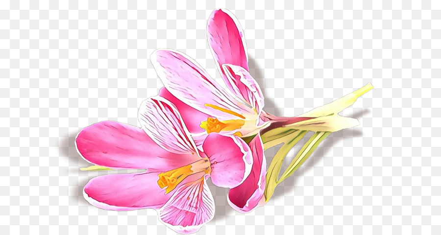 Fleurs，Fleurir PNG