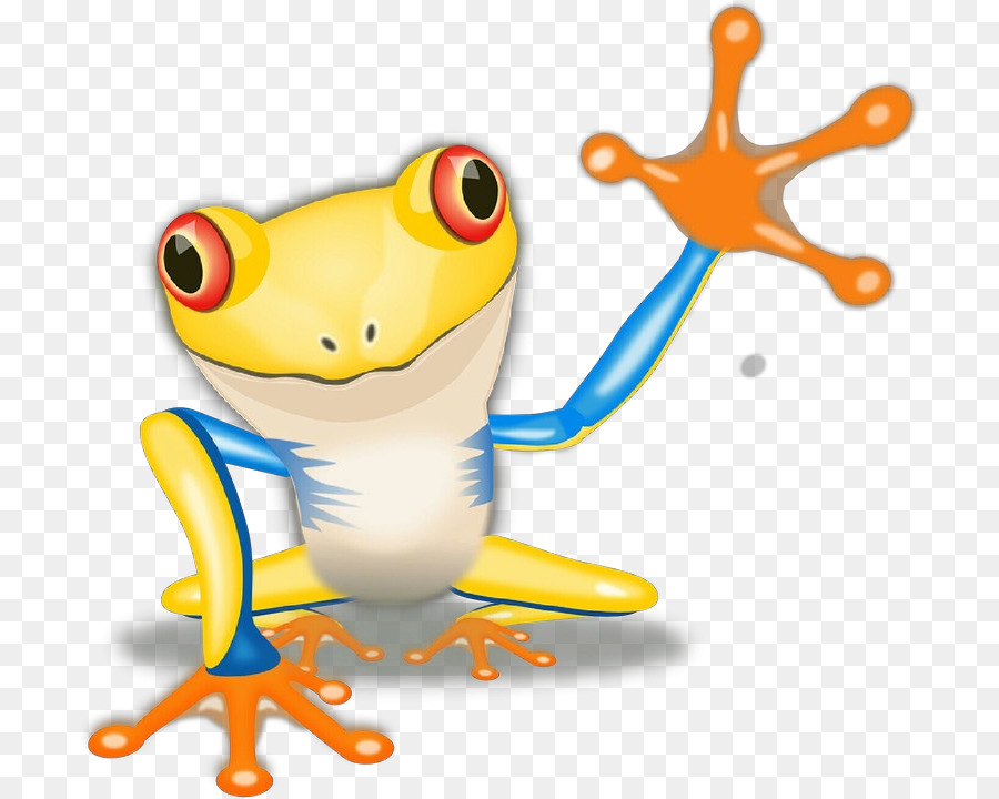 Agalychnis，Rainette PNG