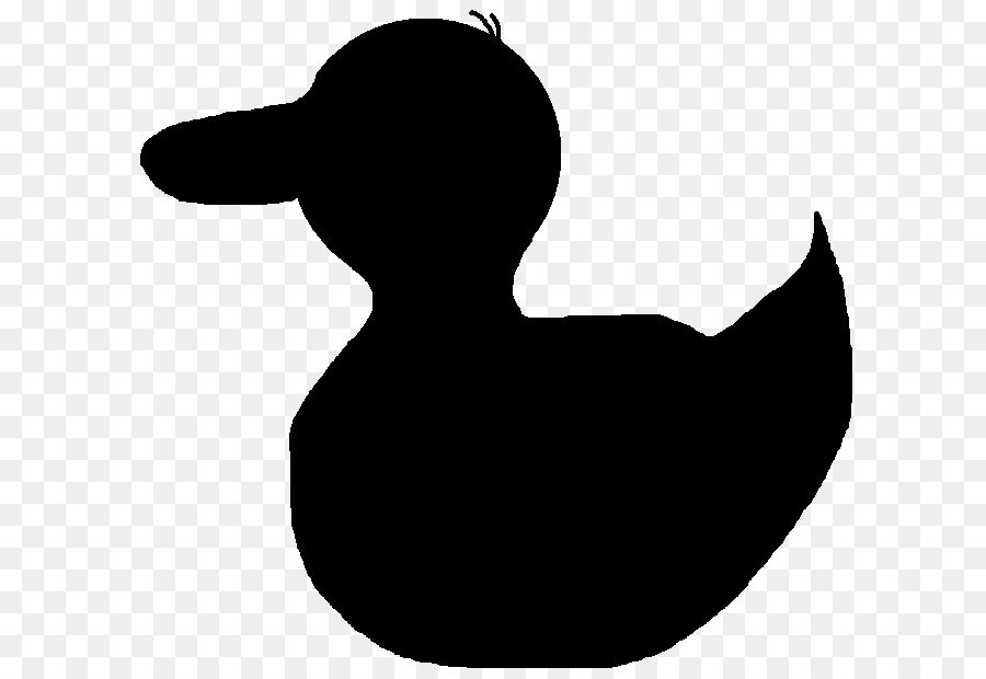 Canard，Les Canards Des Oies Et Des Cygnes PNG