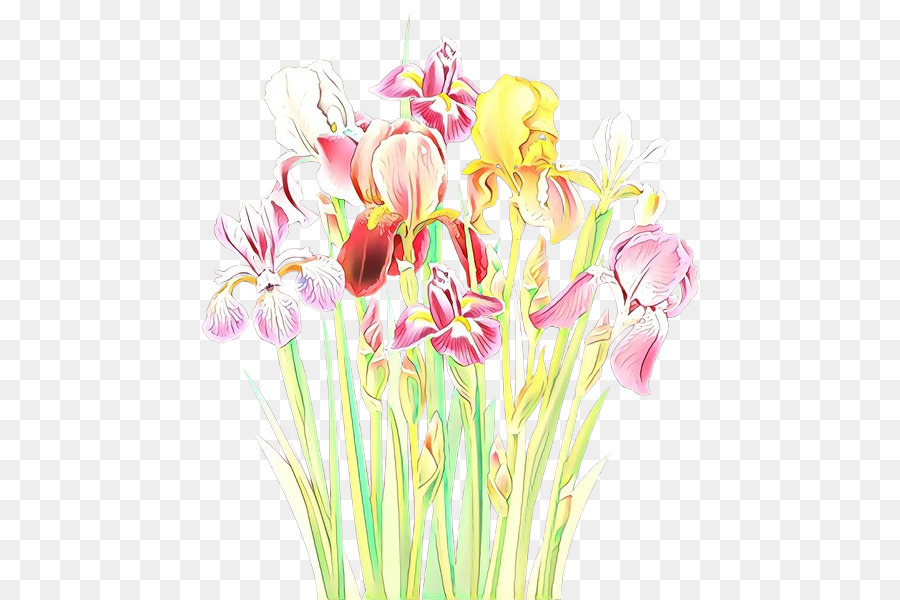 Iris，Jardin PNG