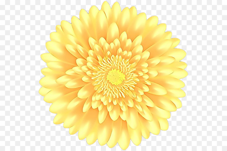 Fleur Jaune，Fleurir PNG