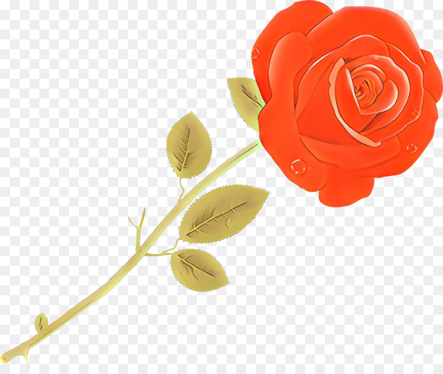 Roses，Floraison PNG