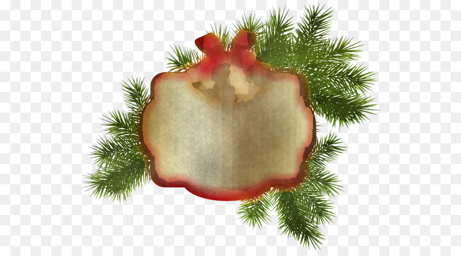 Sapin，Plante PNG