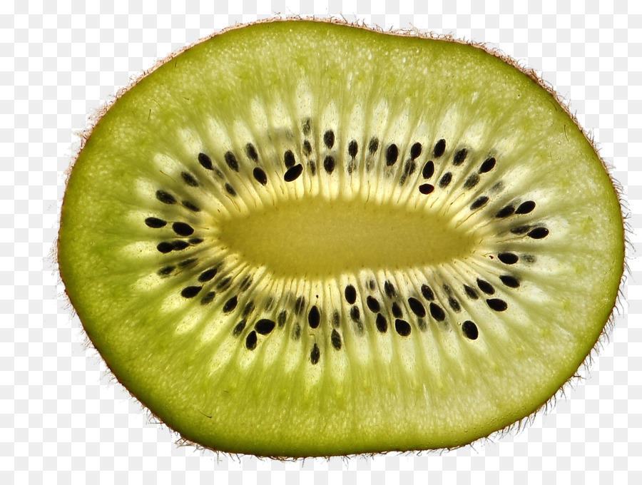 Tranche De Kiwi Séché，Vert PNG