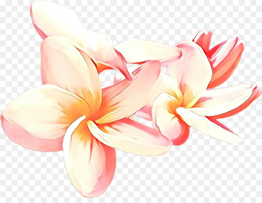 Fleurs，Fleurir PNG