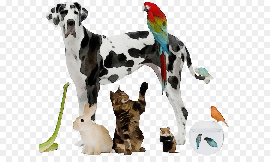 Figurine Animale，Chien PNG