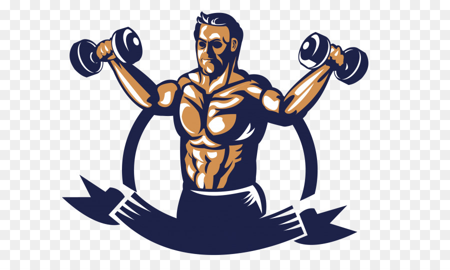 Haltérophilie，Musculation PNG