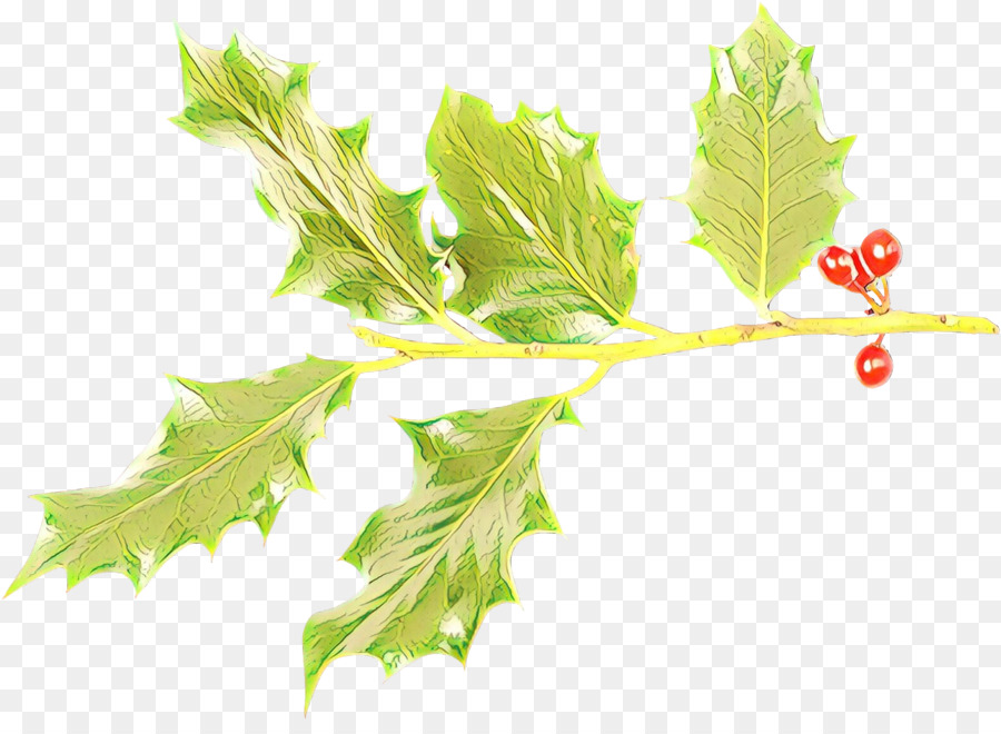 Feuille，Plante PNG