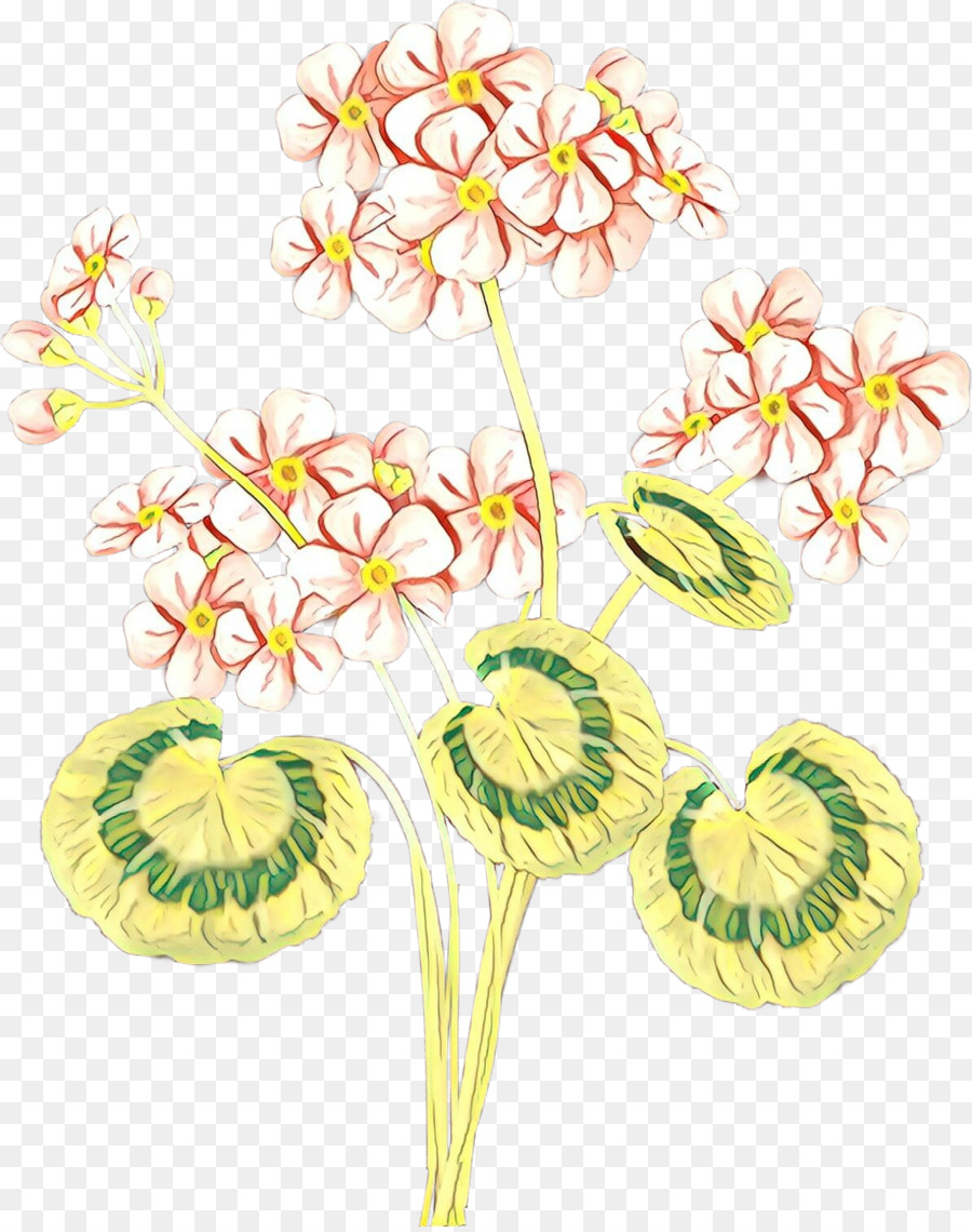 Fleur，Plante PNG