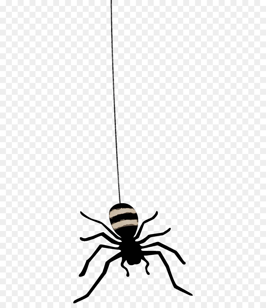 Araignée De Dessin Animé，Insecte PNG