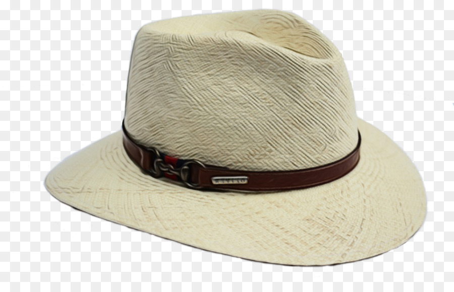 Chapeau De Cowboy Blanc，Cow Boy PNG