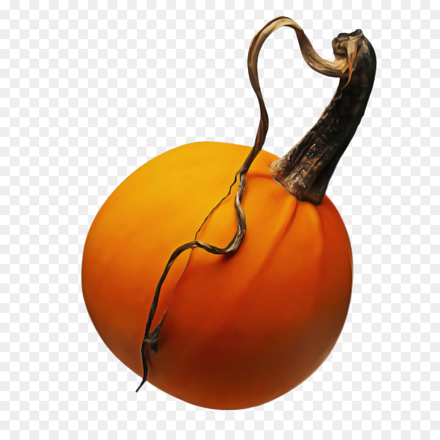 Orange，La Citrouille PNG