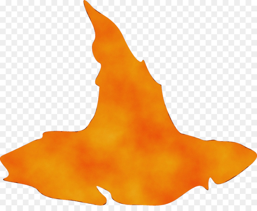 Orange，La Flamme PNG