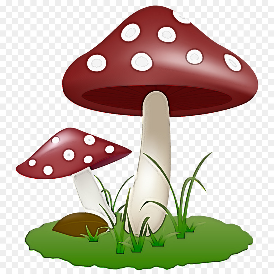 Champignons，Agaric PNG
