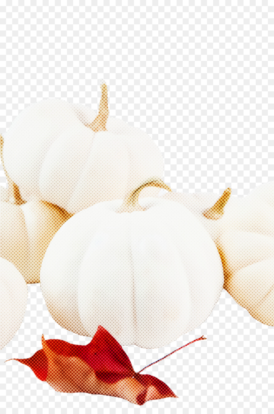 Blanc，Légumes PNG