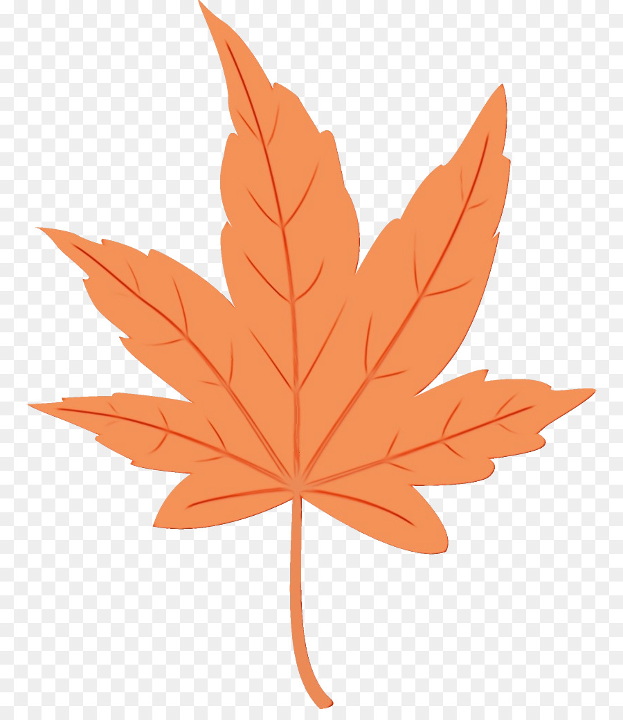 Feuille Rouge，Nature PNG