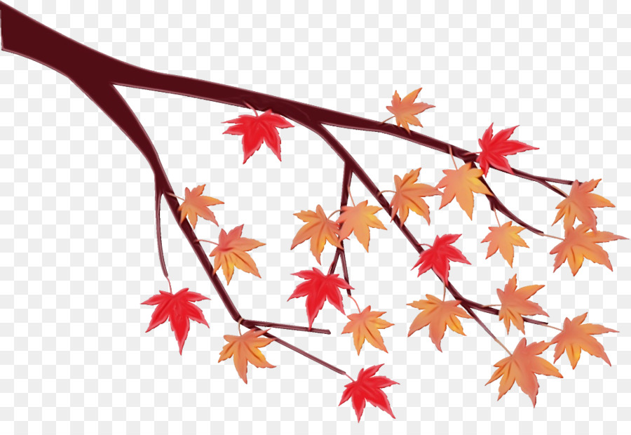 Feuilles Rouges，Automne PNG