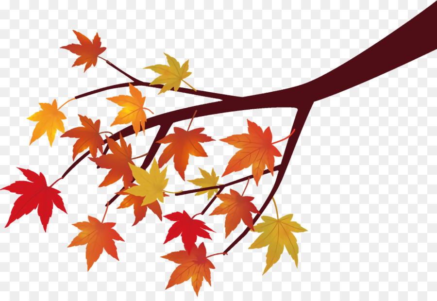 Arbre D'automne，Feuilles PNG