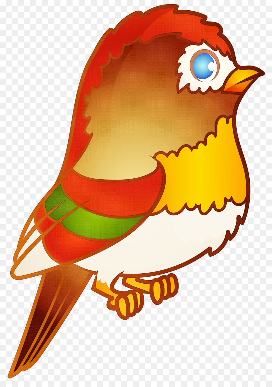 Oiseau Coloré，Plumes PNG