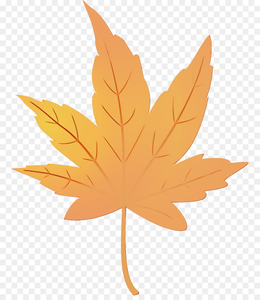 Feuille Jaune，Bifurquer PNG