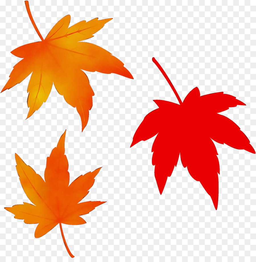 Feuilles D'érable，Automne PNG