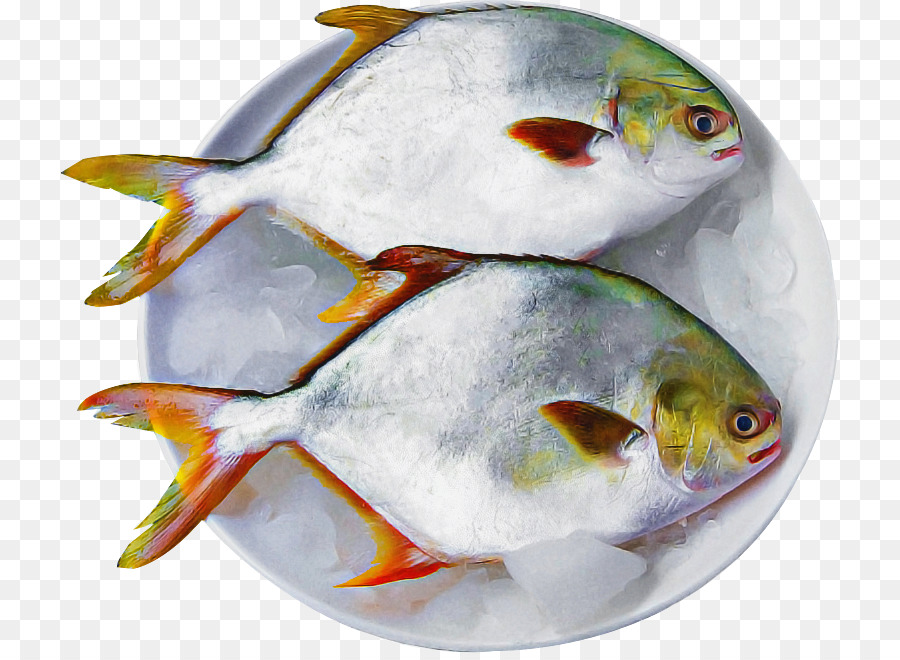 Les Poissons，Blanc PNG