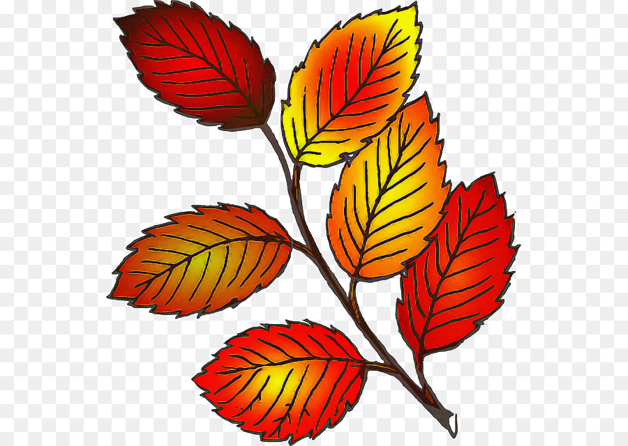 Feuilles Brunes，Automne PNG