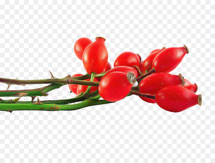 Rouge，Plante PNG