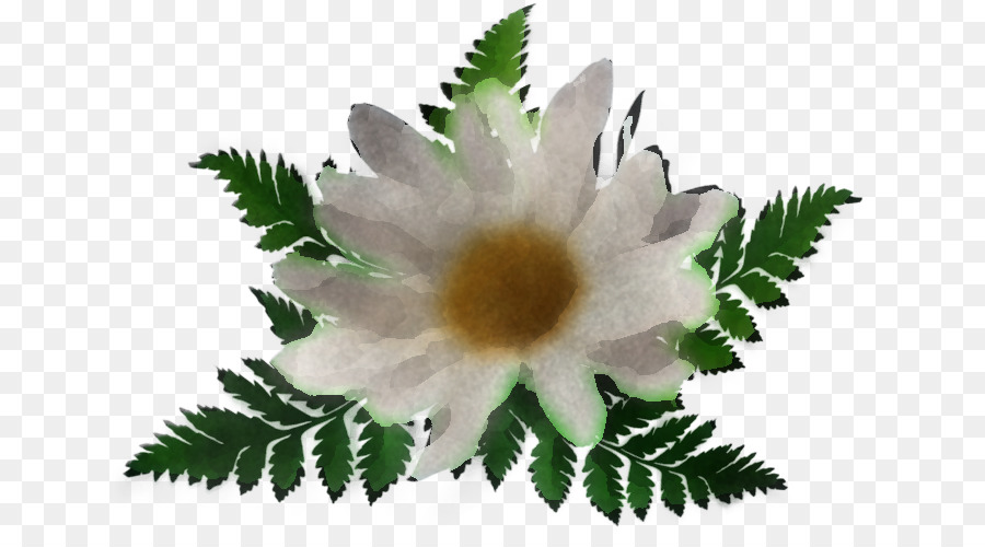 Fleur，Plante PNG