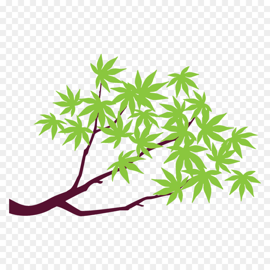 Feuilles Vertes，Bifurquer PNG