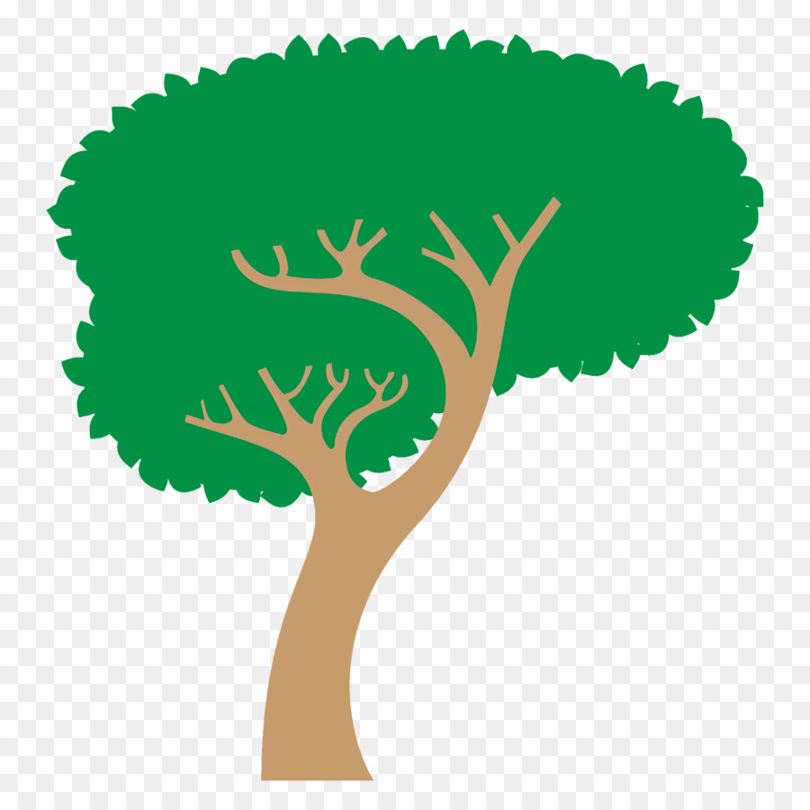 Arbre Vert，Nature PNG