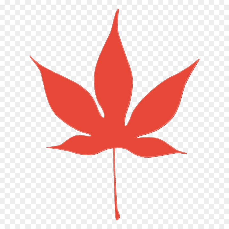 Feuille Rouge，Automne PNG