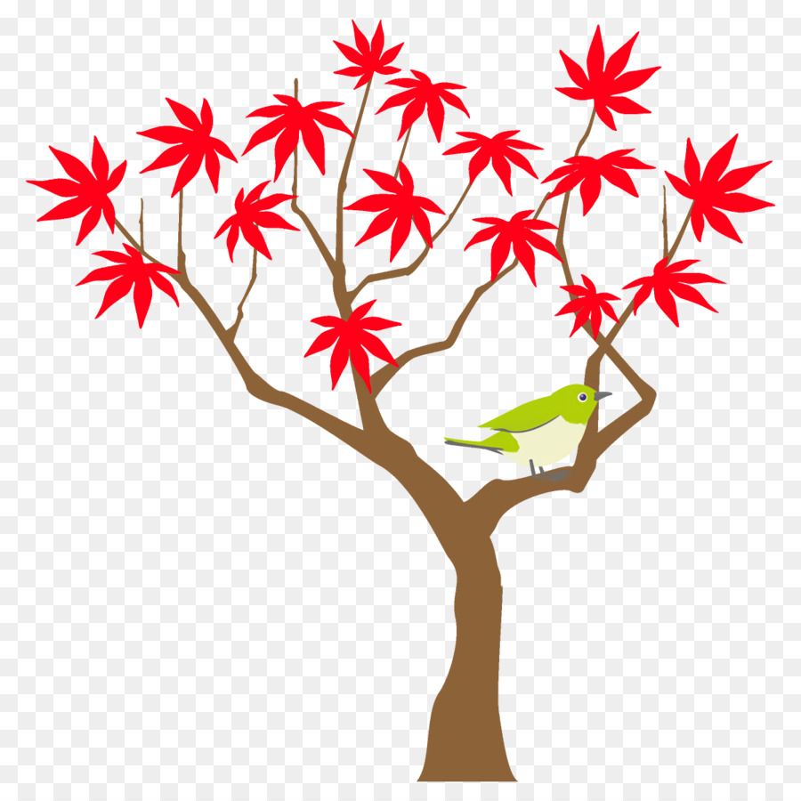 Arbre，Feuille PNG