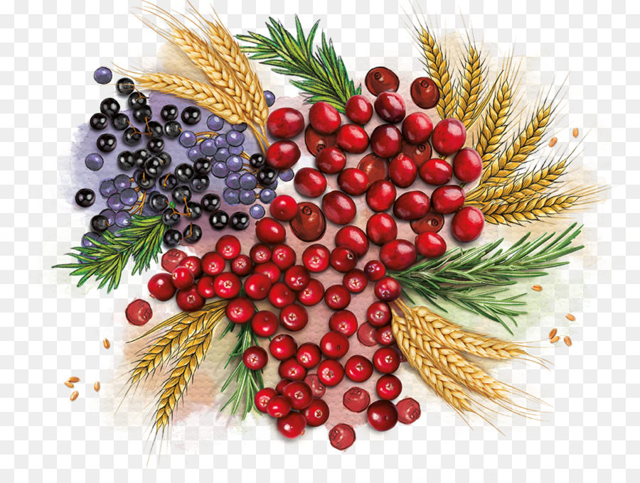 Les Aliments Naturels，Berry PNG