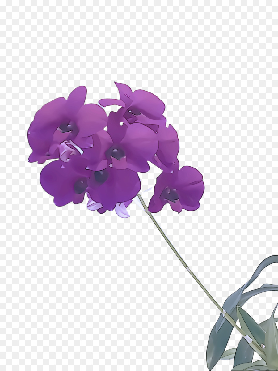 Violet，Fleur PNG