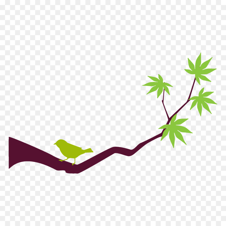 Feuilles Vertes，Bifurquer PNG