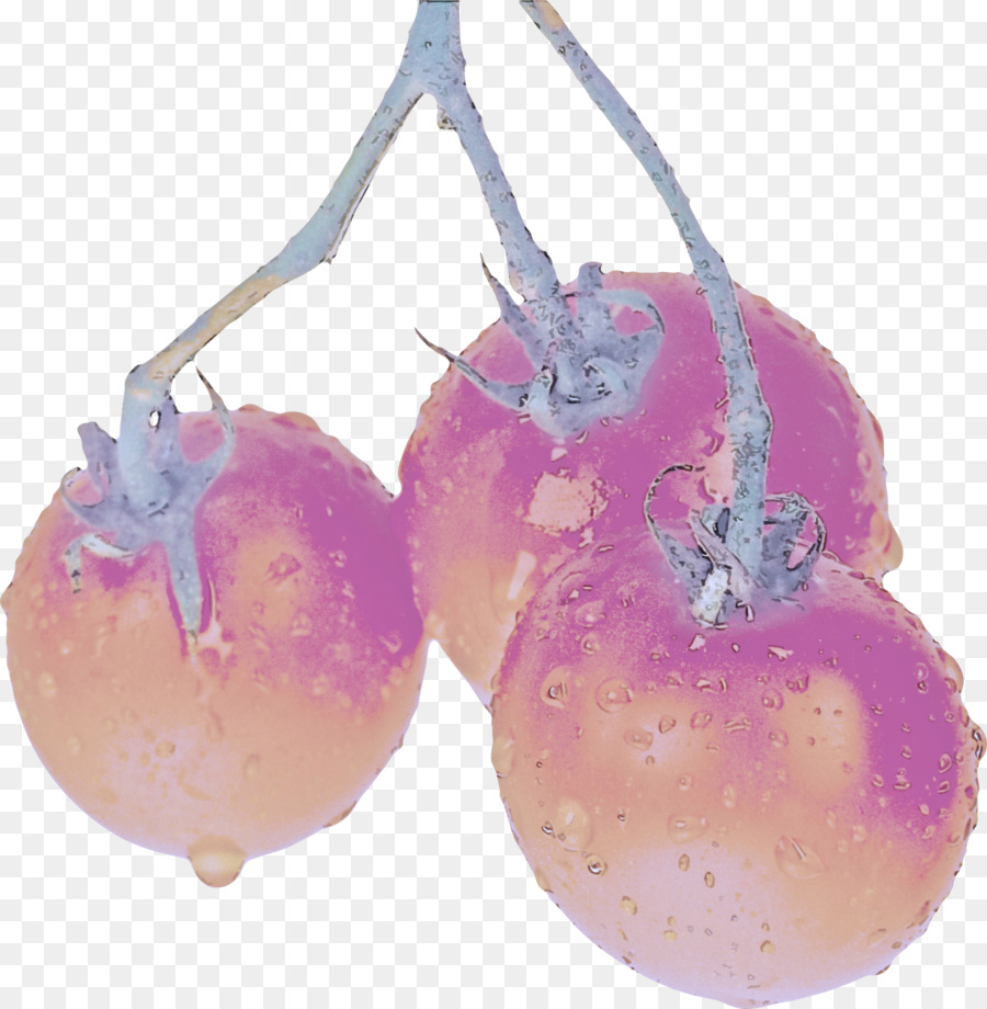 Plante，Fruits PNG