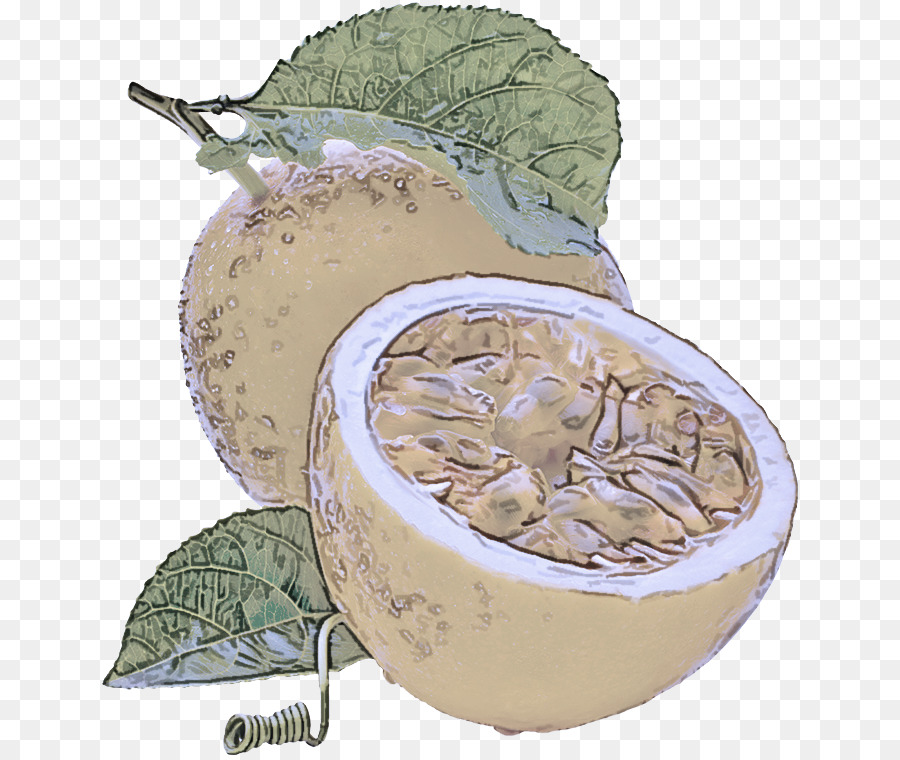 Plante，La Nourriture PNG